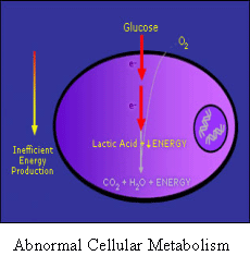 Avemar - Abnormal Cellular Metabolism